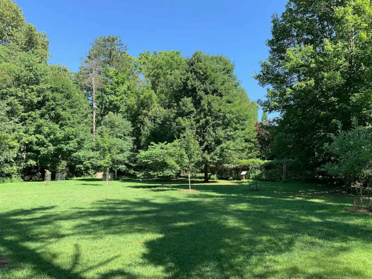 Crum Creek Park Swarthmore Banner Image 1